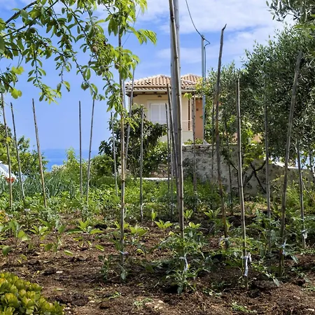 Gkountis Stone 3 * Tsoukaládhes