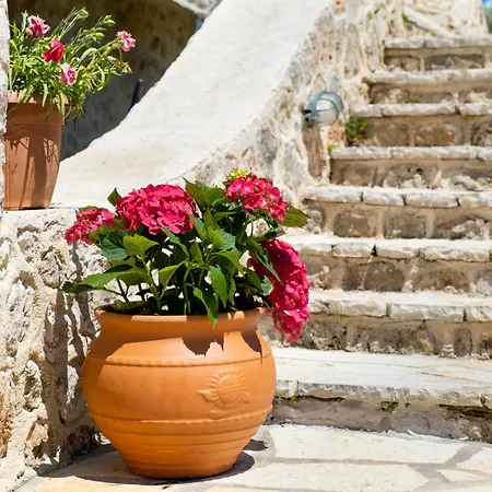 شقة Gkountis Stone 3 *